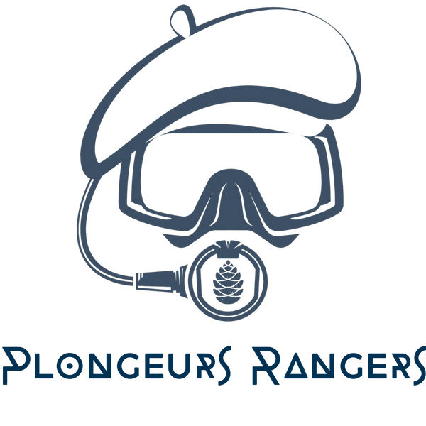 Plongeurs Rangers